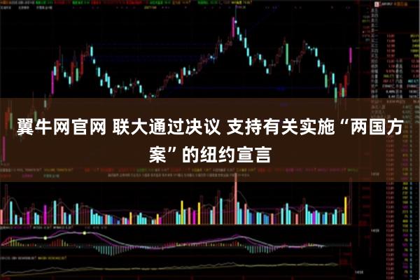 翼牛网官网 联大通过决议 支持有关实施“两国方案”的纽约宣言