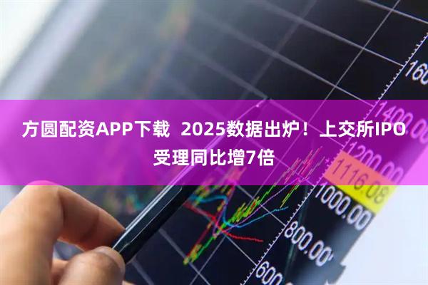 方圆配资APP下载  2025数据出炉！上交所IPO受理同比增7倍